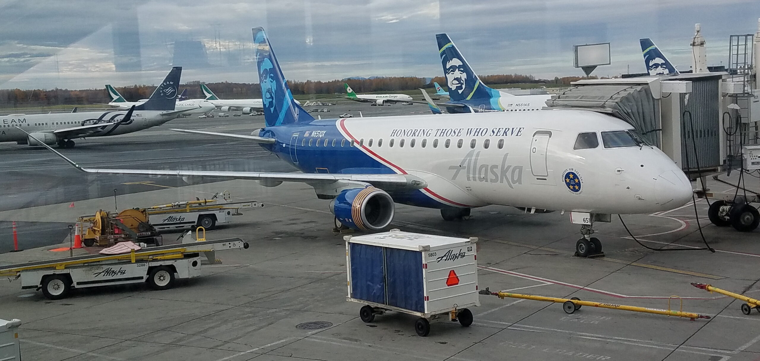 Alaska Airlines, Horizon Air Salute livery