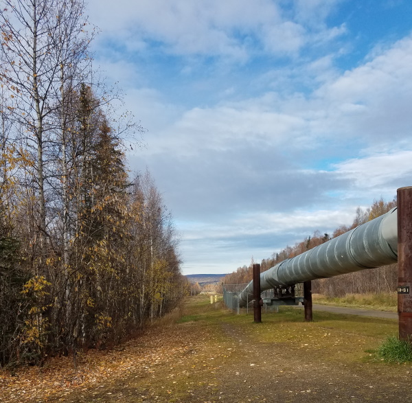 The pipeline outside Fairbanks, Alaska